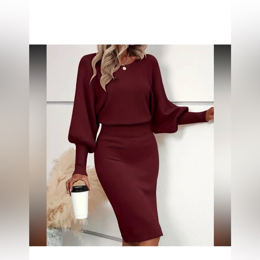 NWT Elegant Wine Color Women's Dress L